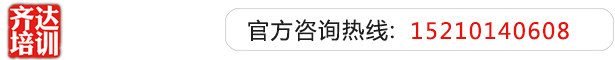 17c在线视频齐达艺考文化课-艺术生文化课,艺术类文化课,艺考生文化课logo